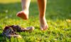 Orthopedic Impact of Barefoot Footwear on Children