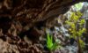 Belizean Caves: Exploring Archaeology, Climate, and Biodiversity