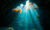 Belize Diving: Uncover Hidden Underwater Treasures Beyond Blue Hole