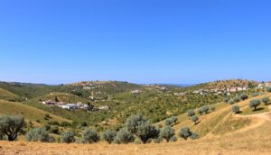 Olive Heritage in Portugal: Explore the Alentejo Route