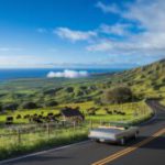 Scenic Routes and Hidden Gems of a Maui Upcountry Adventure