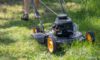 Grass Cutting Services in Montacute: Expert Tips and Options