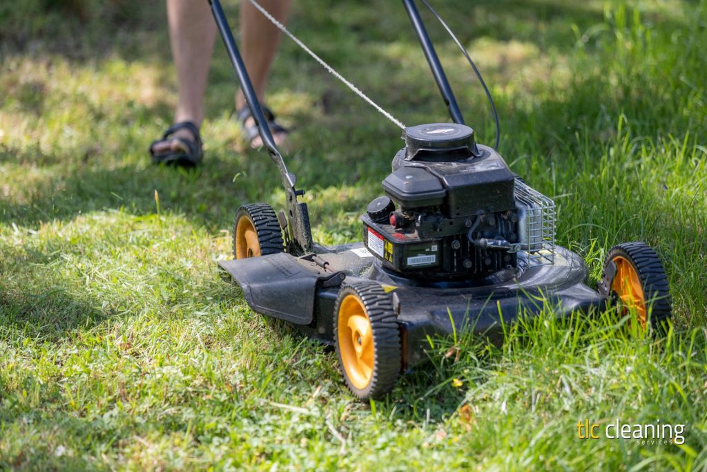 Grass Cutting Services in Montacute: Expert Tips and Options