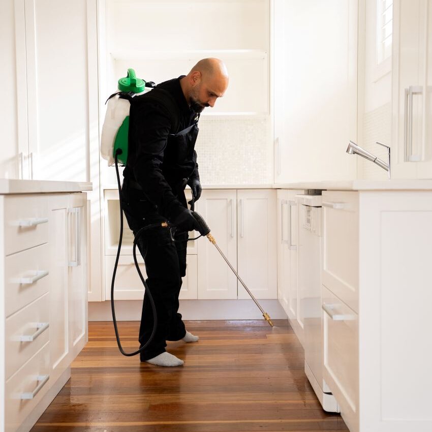 DIY Pest Control: Why Pro Solutions Outperform Store Sprays