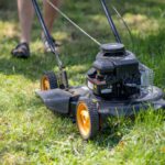 Grass Cutting Services for Yeovil: Essential Tips for Lawns