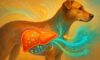 Liver Health Monitoring: Essential Guidelines for Dogs