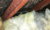 Asbestos Concerns: Top Tips for Selecting Skip Hire Services
