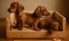 Puppy Comfort: Crafting a Cosy Crate for Your Dog