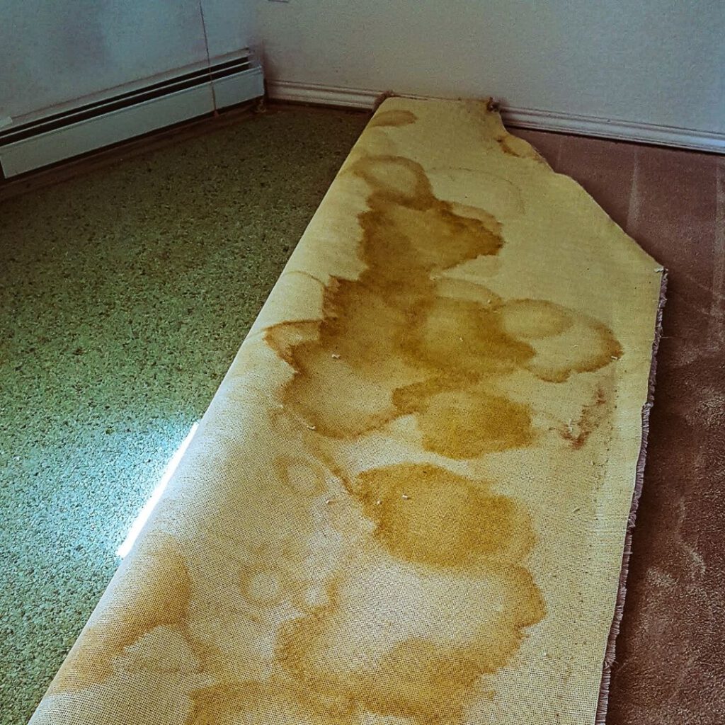 Carpet Disposal Made Easy with Underlay in Sydney