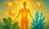 Clean Energy Supplements: Intelligent Options for Energy Boost
