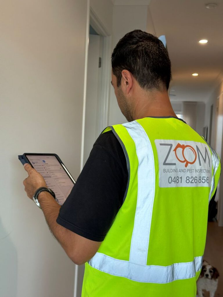 Building and Pest Inspection Guide for Brisbane Residents